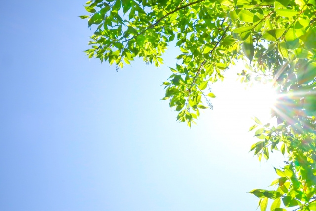 太陽の光について