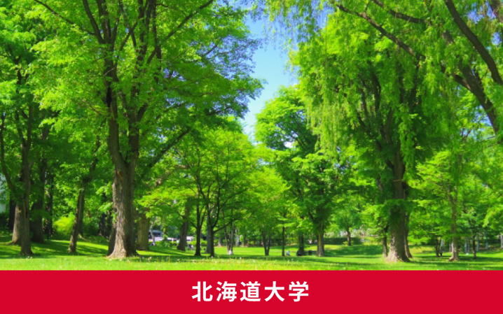 札幌市のおすすめの避暑地「北海道大学」