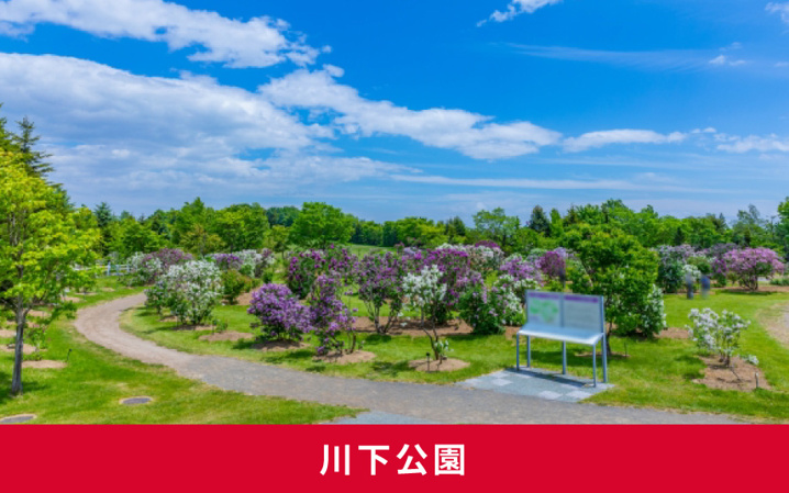 札幌市のおすすめの避暑地「川下公園」