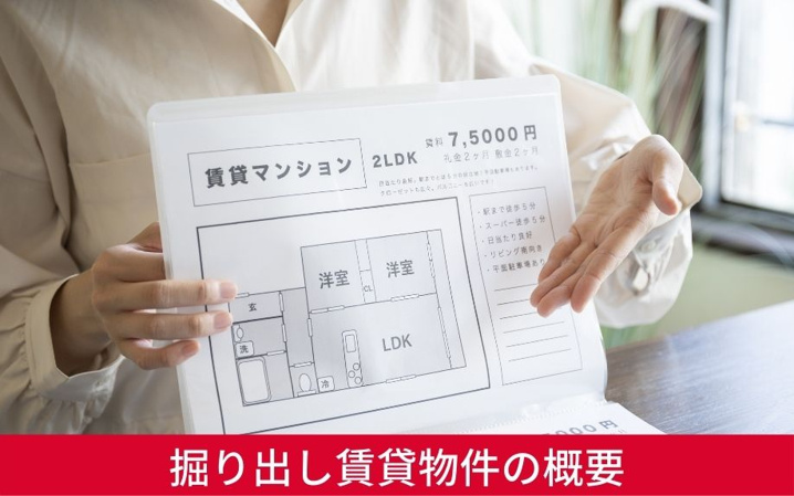 掘り出し賃貸物件の概要について