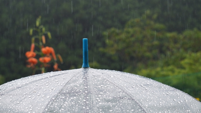 関東では「天気雨」関西では「狐の嫁入り」