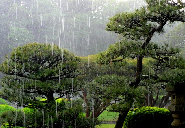 天気雨はなぜ発生するの?