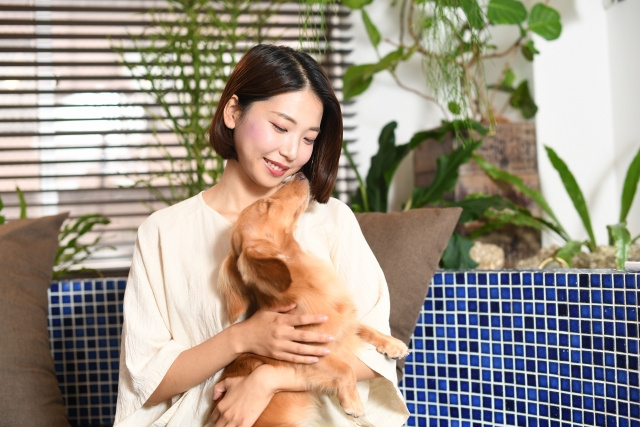 「ペット可」の物件で犬と快適に暮らすには