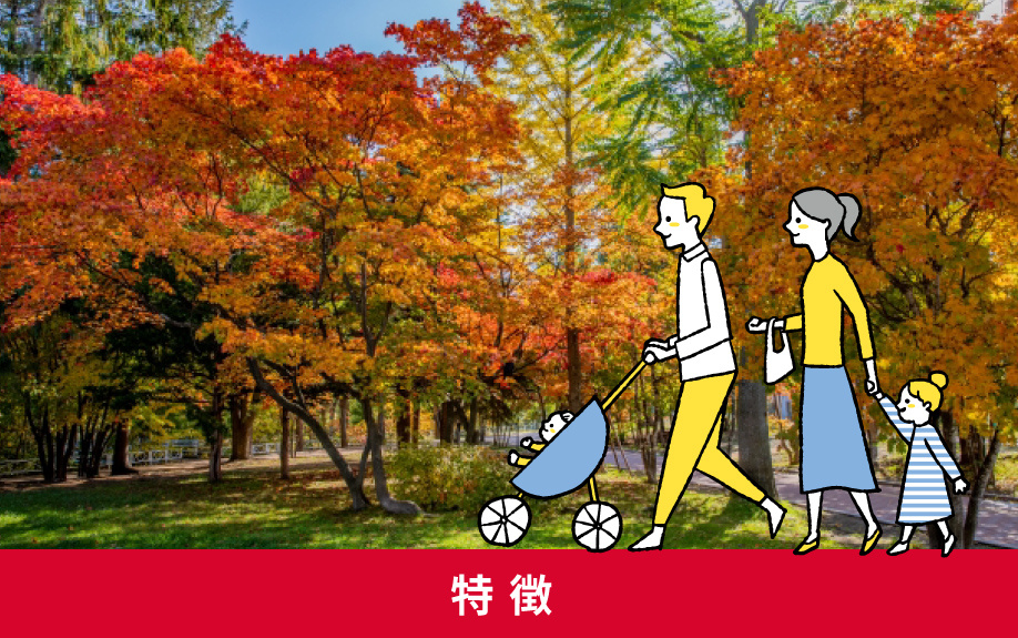 豊平区月寒公園の特徴