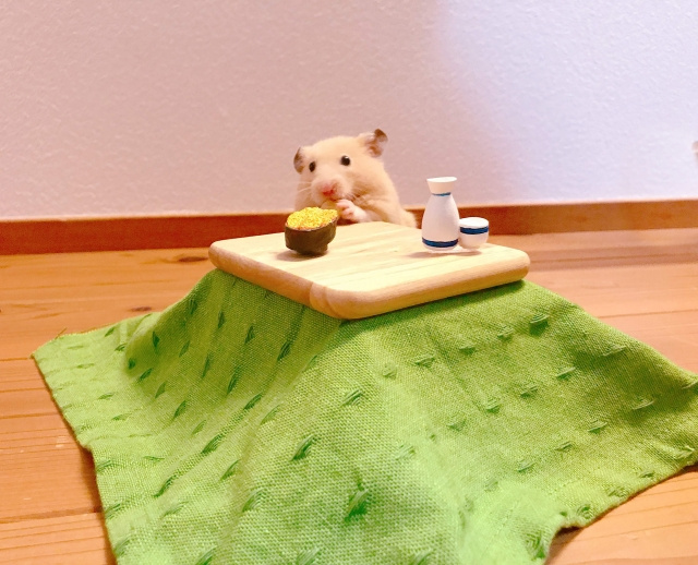 まとめ~こたつ選びは早いうちから~