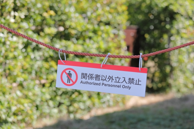 虫の退治ができない!