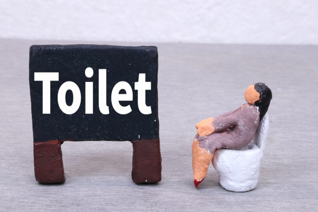 トイレは金運と健康運に大きく関わる場所
