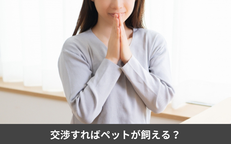 ペット不可の賃貸物件も交渉すればペットが飼える?