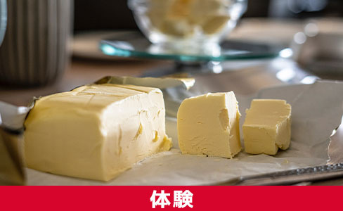 札幌市東区にある「サッポロさとらんど」で体験ができる施設とは?
