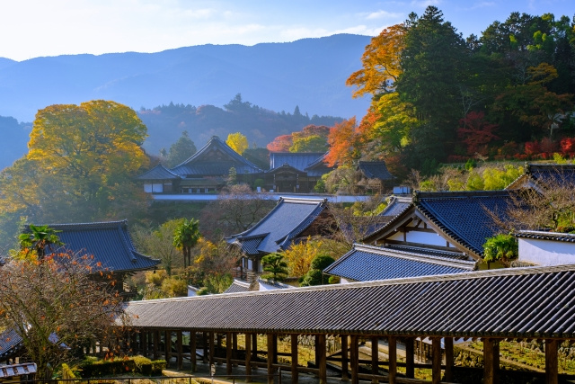 長谷寺