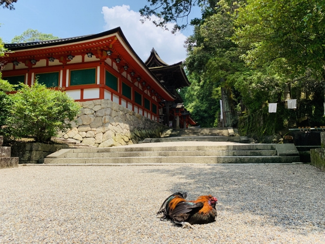 石上神宮