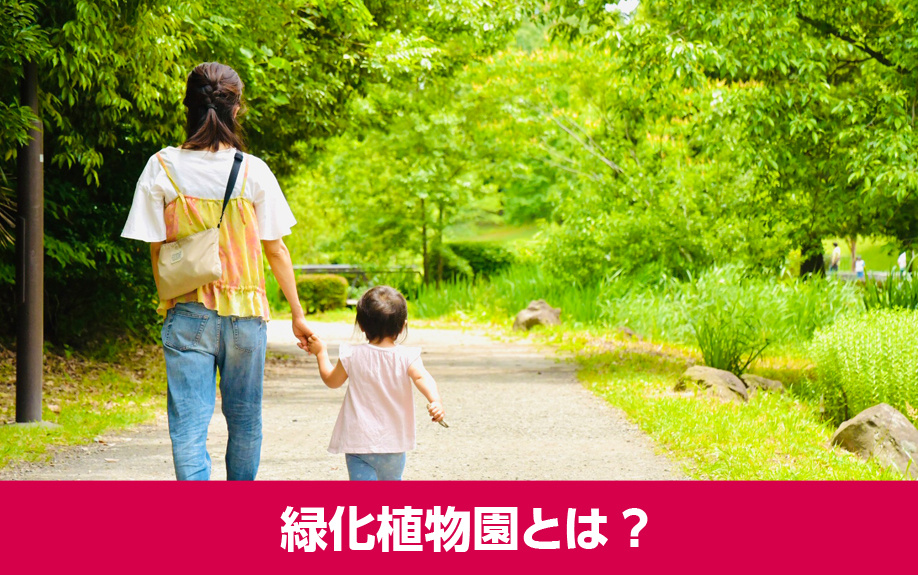 豊平公園の特徴や緑化植物園とは?