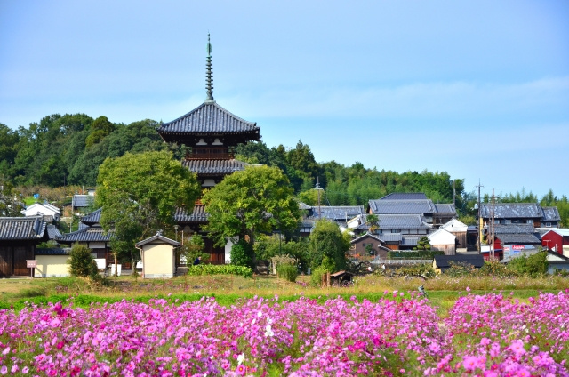 渋沢栄一と奈良の意外な関係① 法隆寺