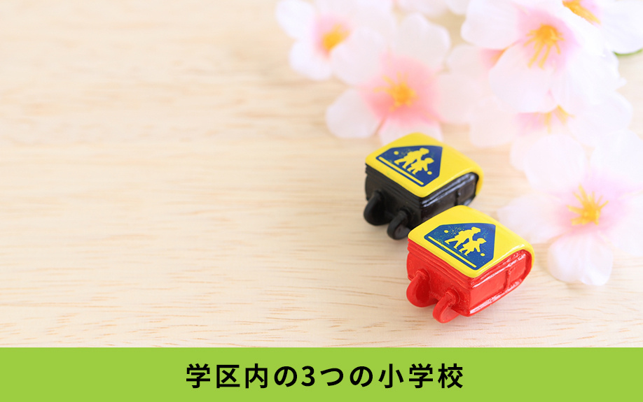 南区の「名南中学校」の概要と学区内の3つの小学校をご紹介