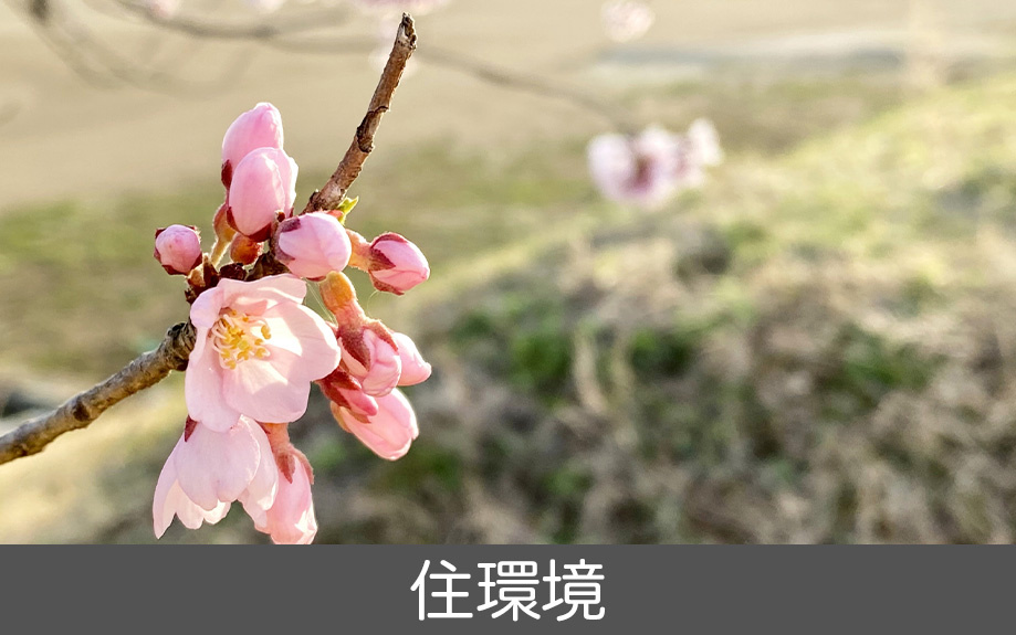 中川区にある長須賀小学校学区の住環境