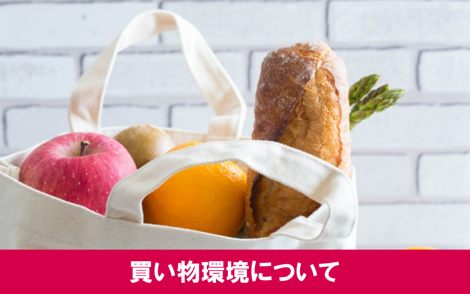 札幌市の白石駅周辺の住みやすさ②買い物環境について
