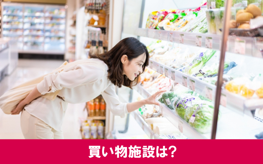 住みやすさ良し!札幌市南郷13丁目駅周辺にある買い物施設