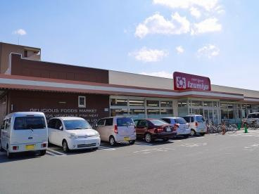 デイリーカナートイズミヤ 新大宮店