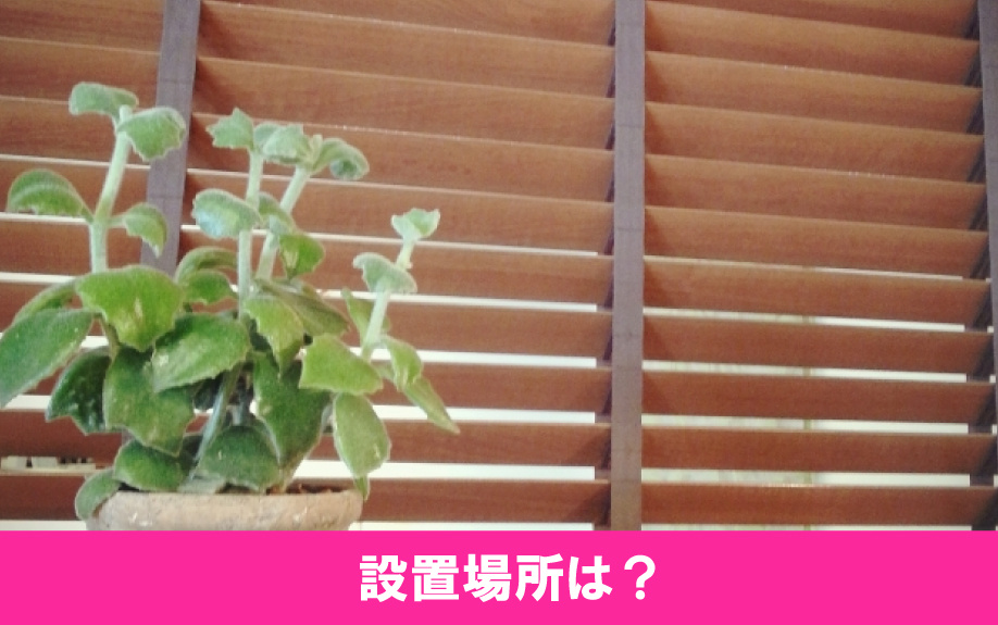 ウッドブラインドの後悔しない設置場所や注意点