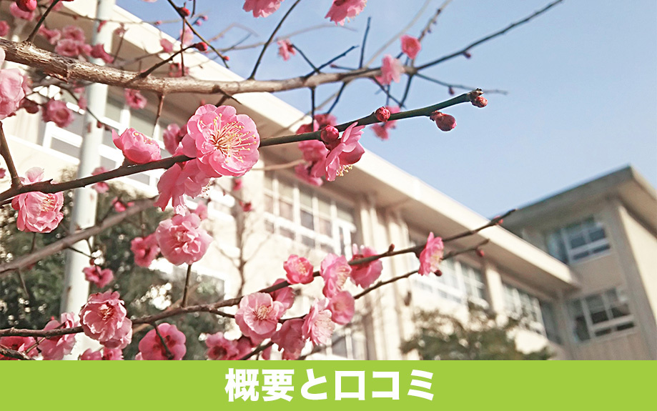 南区にある名古屋市立南光中学校の概要と口コミ評価は?