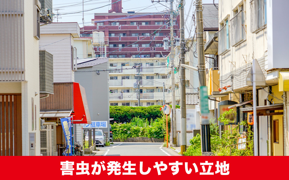 賃貸物件で害虫が発生しやすい立地とは?対策について