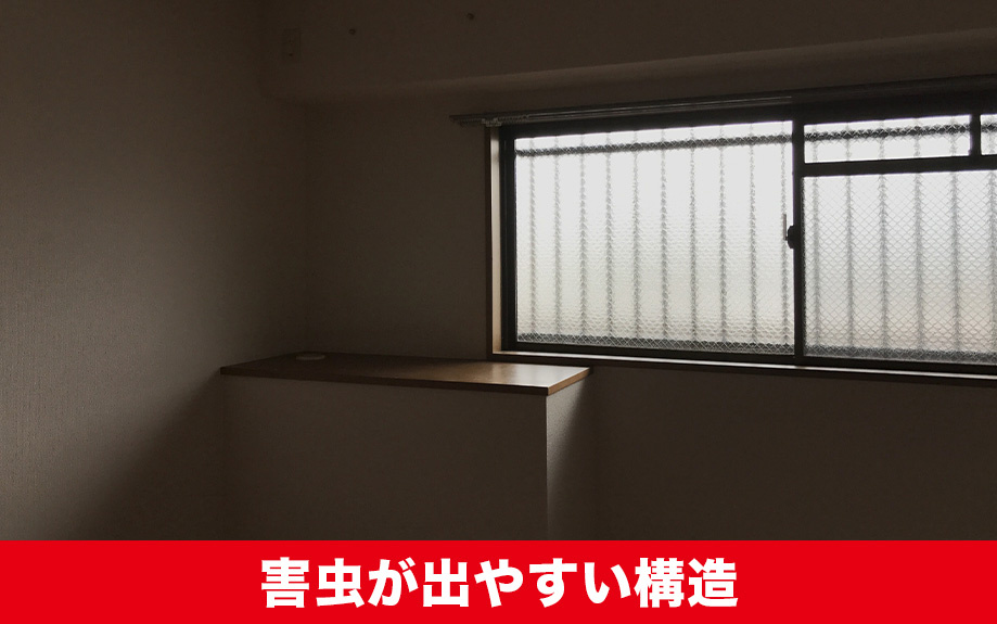 賃貸物件で害虫が出やすい構造とは?対策ポイント
