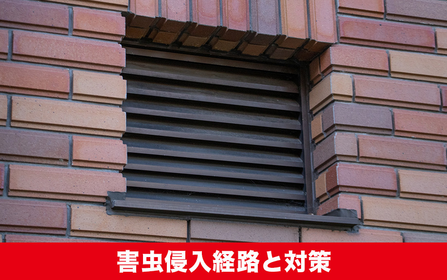 賃貸物件の害虫侵入経路と対策について