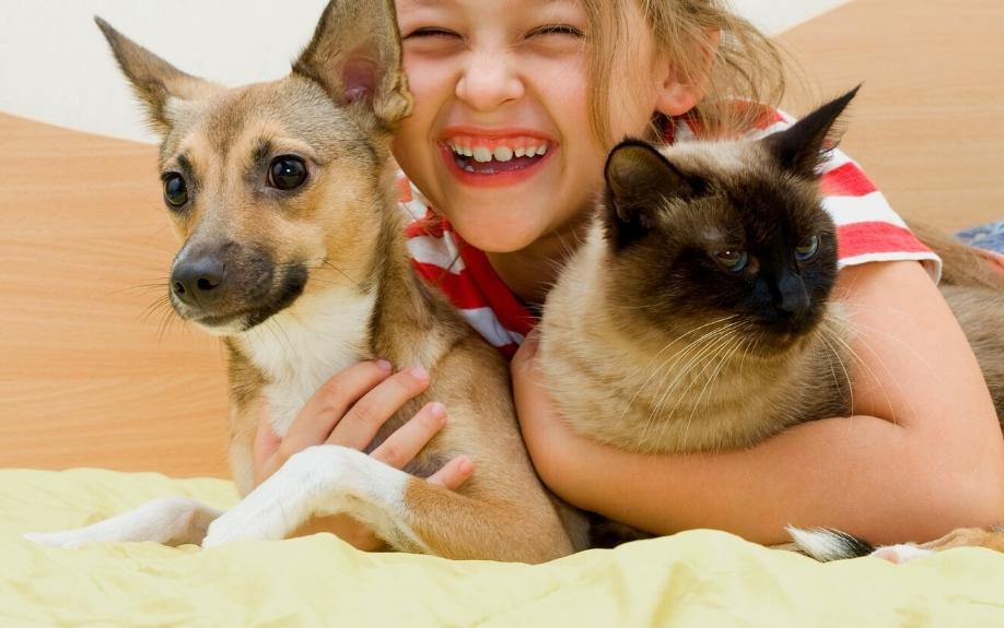 『池上ペットクリニック』はペットホテルも併設する動物病院