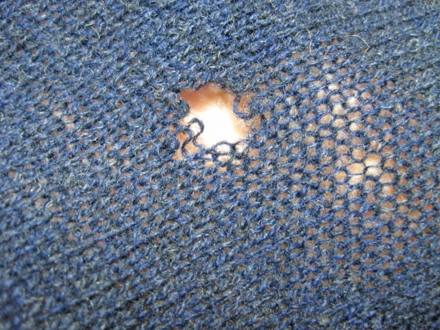 被せたままだとカビの発生や虫食いの原因に