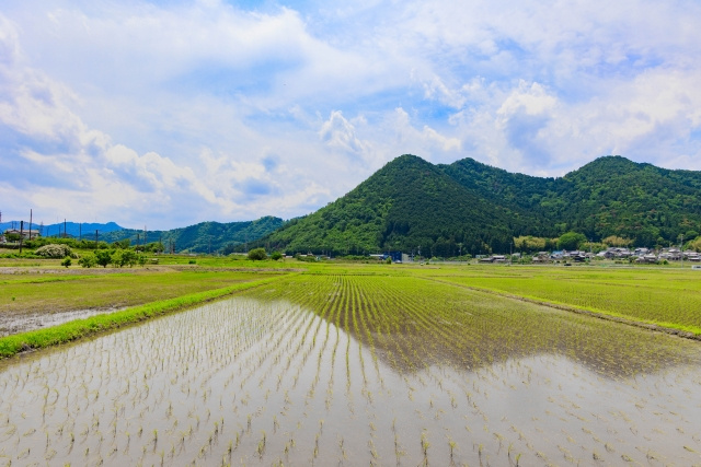 奈良県の気候の特徴