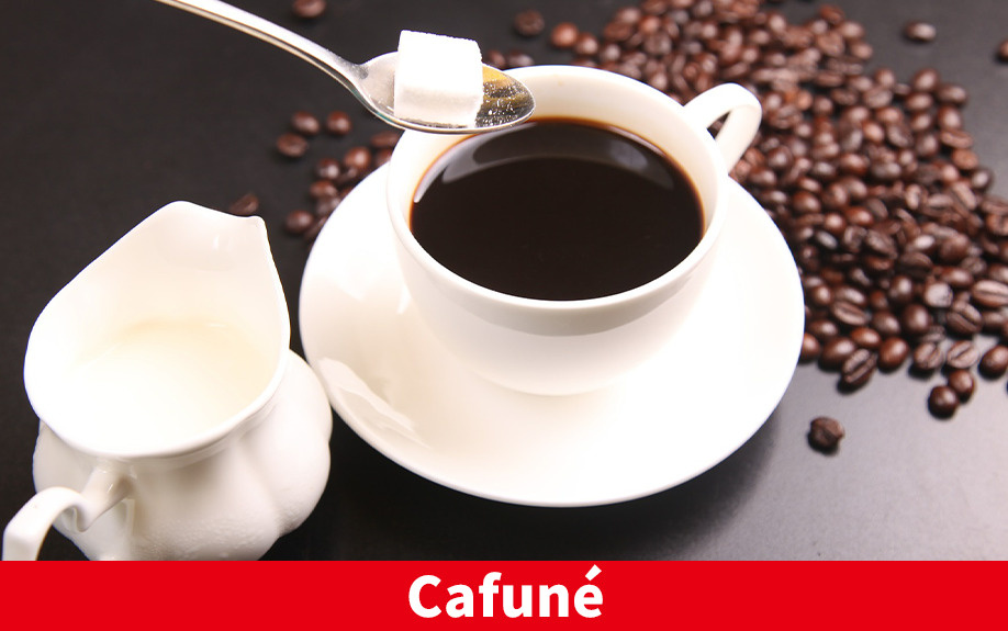 札幌市豊平区にあるカフェ「Cafune」をご紹介!