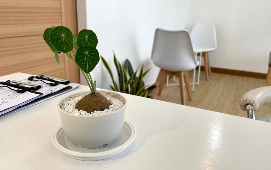 糀谷駅近くの「iCure鍼灸接骨院糀谷」で悩みに沿った治療