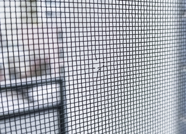 ナメクジが侵入してくるのを防ぐ方法