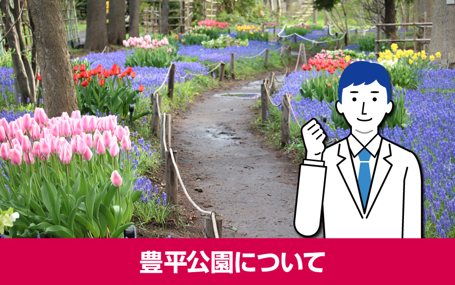 札幌市豊平区豊平公園駅周辺にある豊平公園について