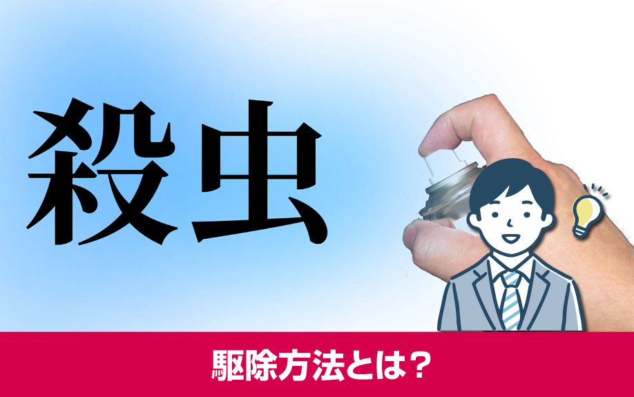 賃貸物件でゴキブリが発生した際の駆除方法とは?