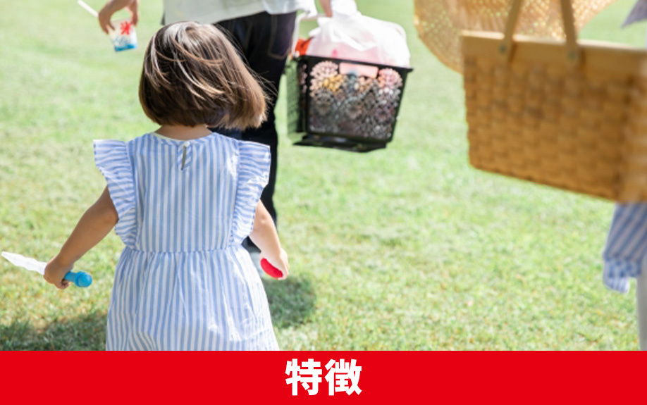 札幌市北区にある新琴似グリーン公園の特徴