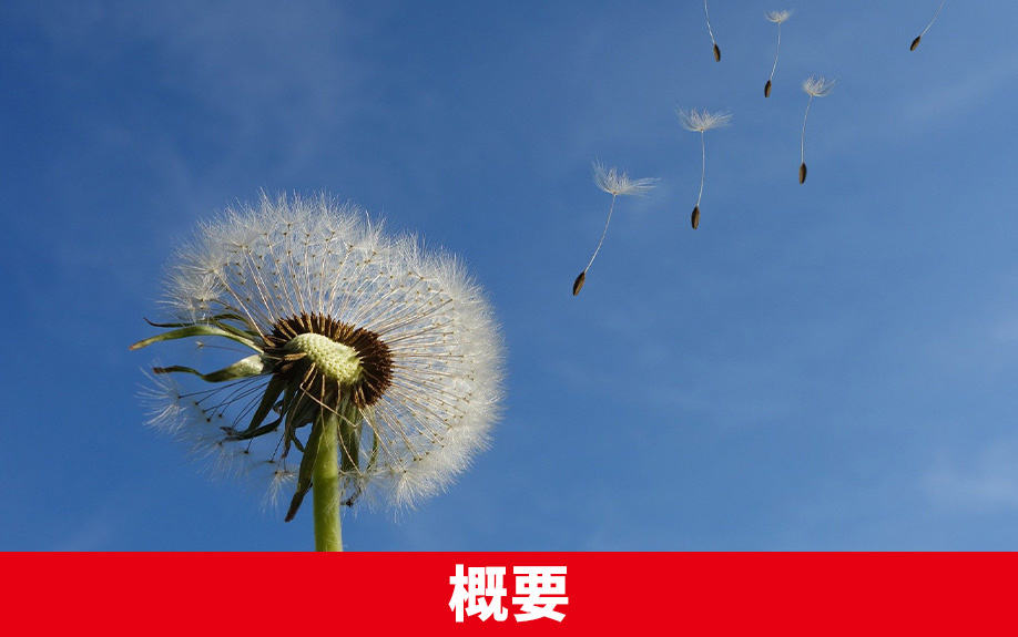 札幌市北区にある新琴似グリーン公園の概要と口コミ