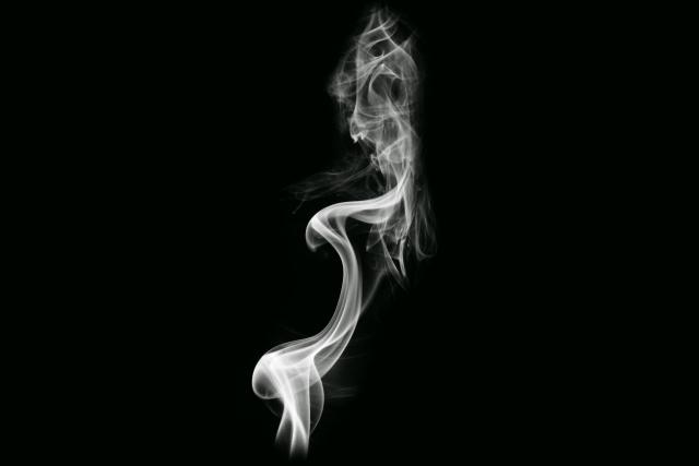 【賃貸住宅で煙の出る殺虫剤は使っても大丈夫?】使用する際は確認を!まとめ