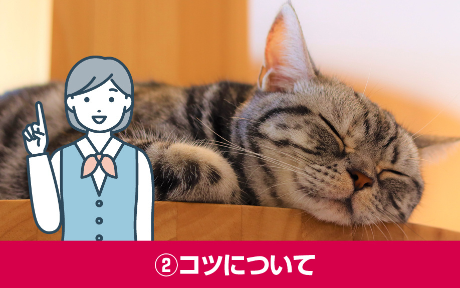 ペット可賃貸物件の選び方②コツについて