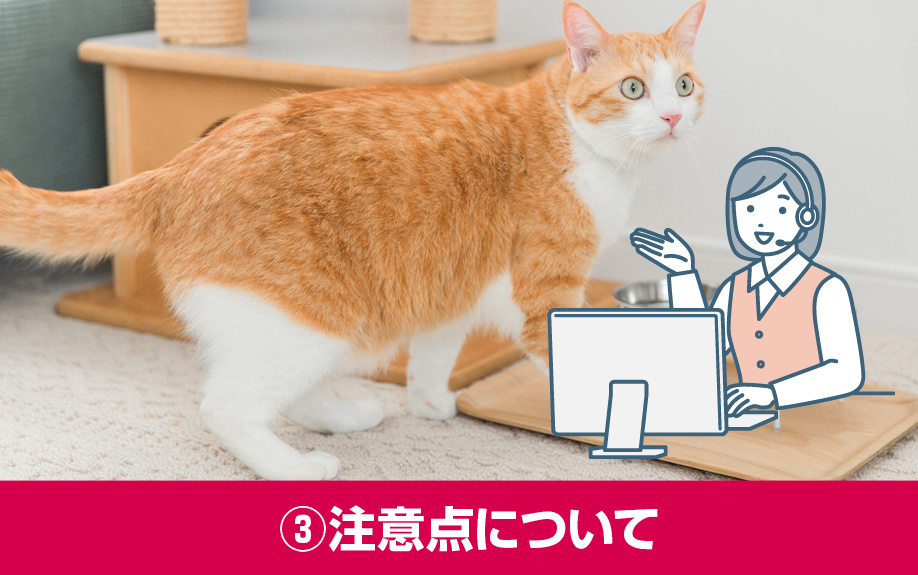ペット可賃貸物件の選び方③注意点について