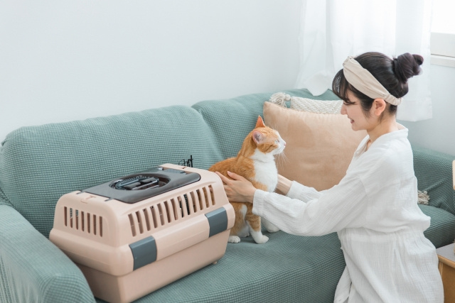 引越しするときペットはどうやって移動させる?