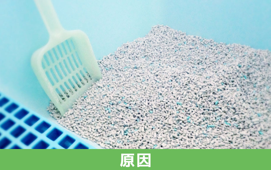 一戸建てでペットを飼うときに気を付けたいにおいの原因とは?