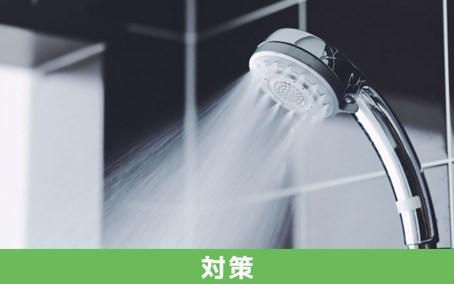 日頃からできる一戸建てのペットのにおい対策について