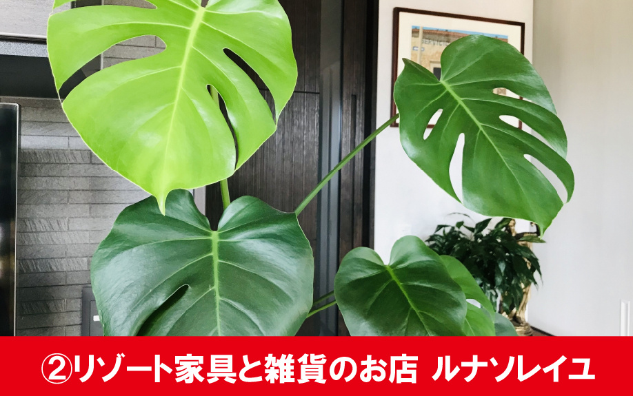 札幌市白石区のおすすめ雑貨店②リゾート家具と雑貨のお店 ルナソレイユ