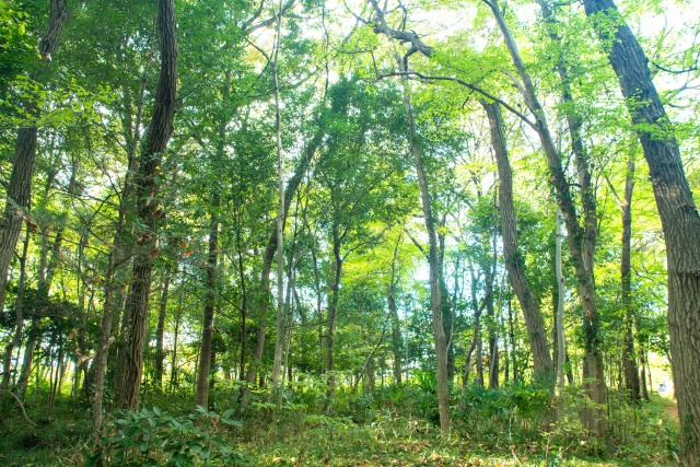 10.室生山上公園 芸術の森
