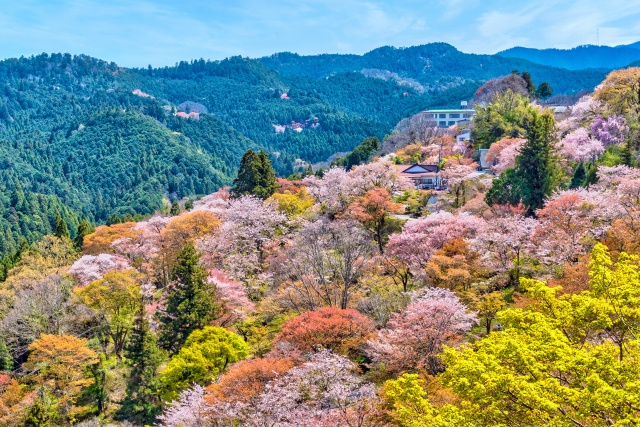 2.吉野山