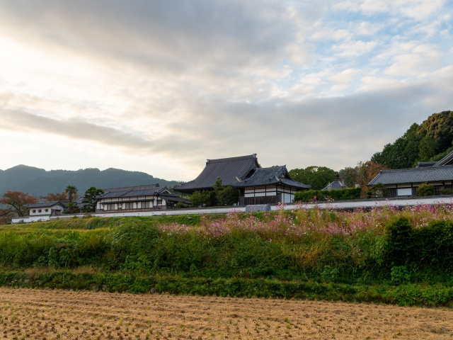 5.橘寺