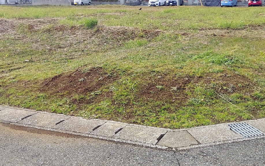 相続土地国庫帰属制度のデメリットとは?