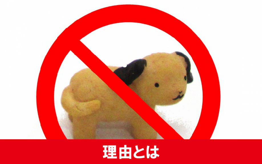 賃貸でペット禁止にしている物件が多い理由