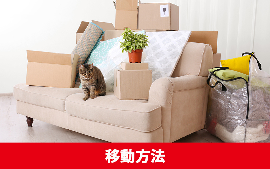ペットと引っ越しする!おすすめの移動方法